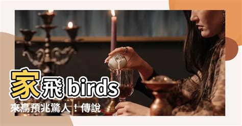 鳥自己飛來|【家裡出現鳥】家裡鳥進來有什麼好兆頭？自來鳥寓意大公開！